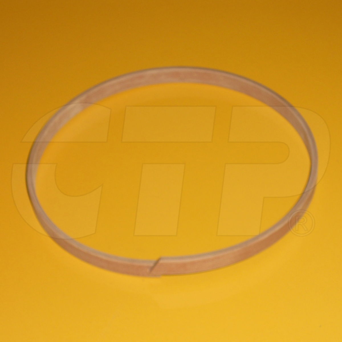 1400186 Ring Wear for Caterpillar Equipment Propel Parts