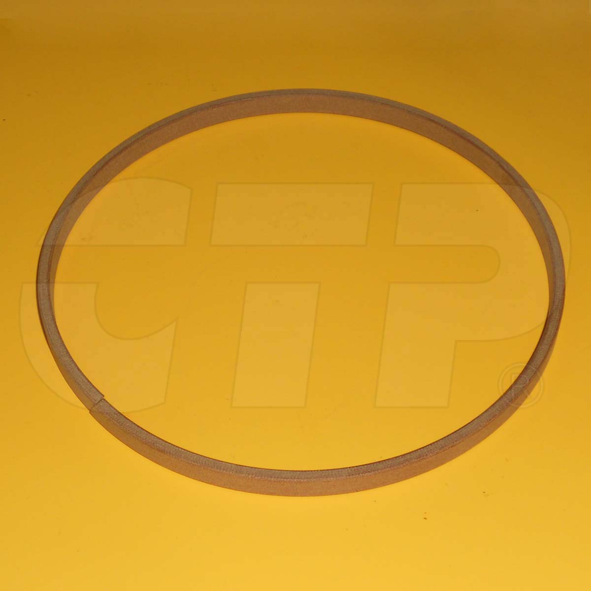 1915605 Ring Wear for Caterpillar Equipment Propel Parts