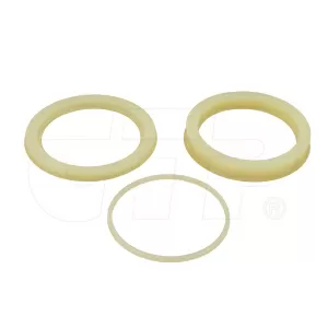 1542877C1 Hyd Cyl Seal Kit for Case