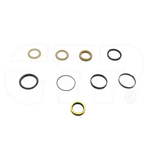 1543253C1 Hyd Cyl Seal Kit for Case