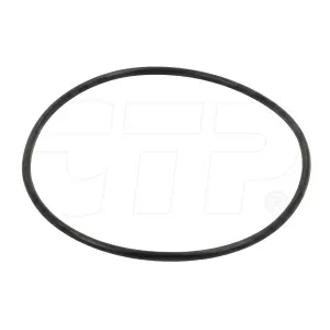 3046999R1 Seal O Ring for Case
