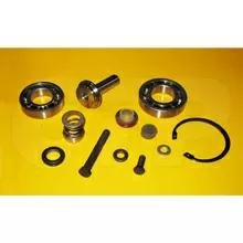 1700564 Caterpillar Rebuild Kit propelparts
