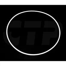 9G0286 Caterpillar Seal Ring propelparts