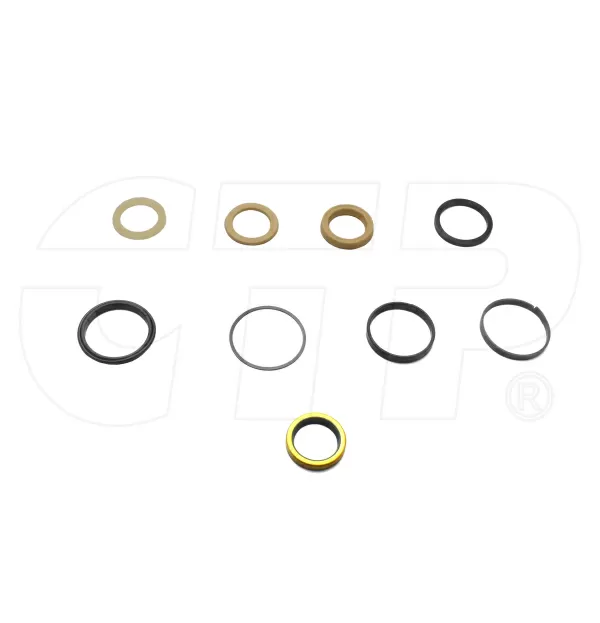 1543253C1 Case Hyd Cyl Seal Kit propelparts